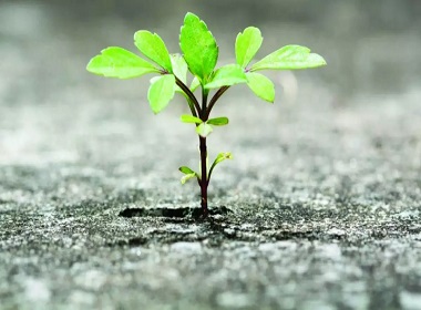 Como anda a sua resiliência?